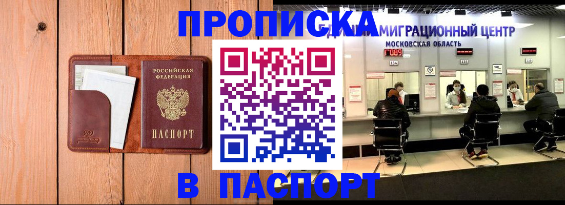 временная регистрация поиск в Амурской области